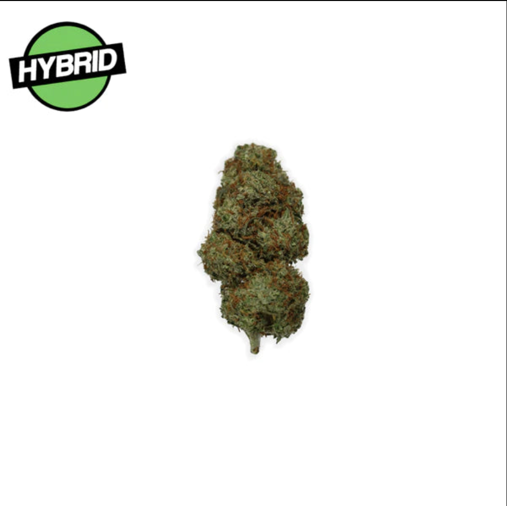 Master Kush