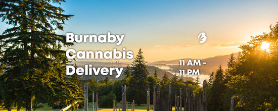 Same day Burnaby Cannabis Delivery